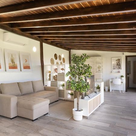 Moderno Loft Recien Reformado En Santa Cruz De Tenerife La Monja エクステリア 写真