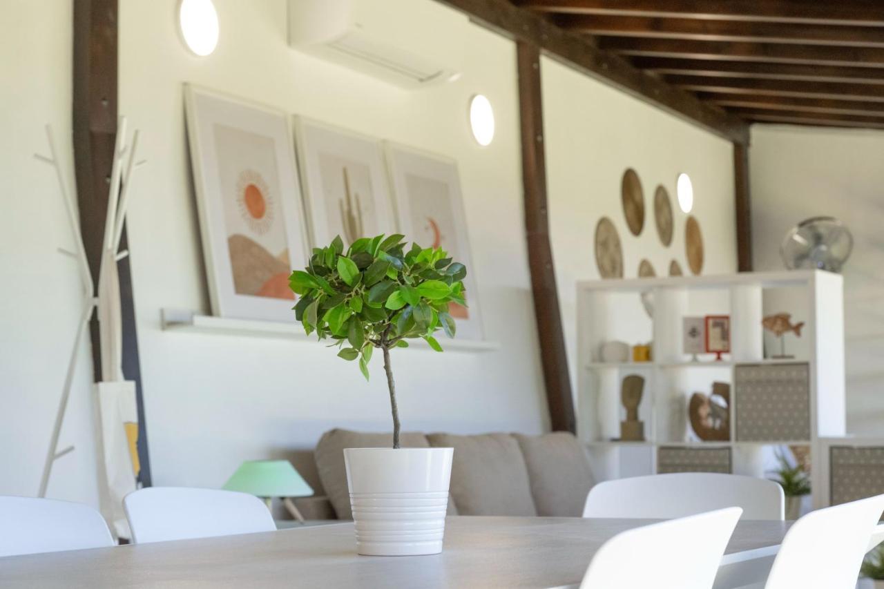 Moderno Loft Recien Reformado En Santa Cruz De Tenerife La Monja エクステリア 写真